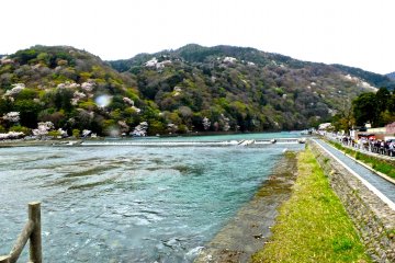 <p>View from Togetsu&nbsp;Bridge of cherry trees dotting the hillside along the Katsura River on a wet cold day that was enjoyable nonetheless!</p>