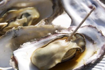 Visiting the Miyajima Oyster Festival