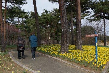 <p>I wish I have this moment someday in the future</p>