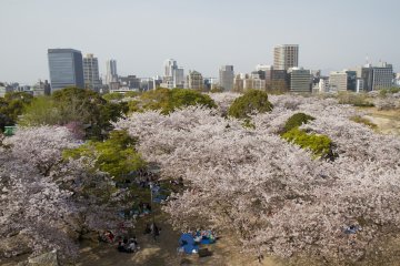 Pemandangan dari podium tertinggi di Taman Maizuru