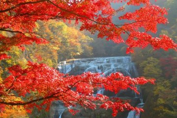 Fukuroda Falls