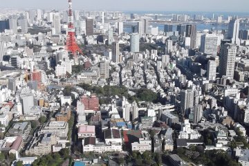 <p>If you go up Tokyo Tower, you can't see it, but from here you can!</p>