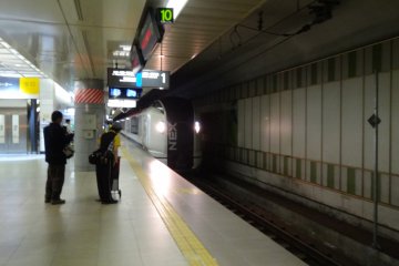 N'EX train from Narita to Tokyo