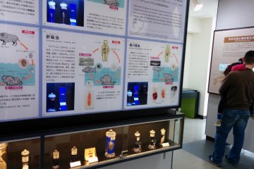 Much of the museum features jars of various parasites alongside information written in Japanese with a little English here and there.&nbsp;