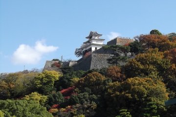 Looking up at the castle from ground level