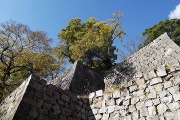 None shall pass these big walls