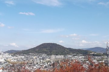 Looking west from the top of the hill
