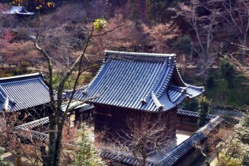 Mausoleum among the trees at Joshin-ji
