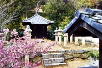 The 'mad' brother's mausoleum