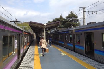 <p>The single platform</p>