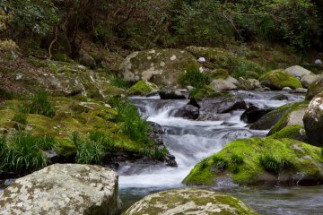 <p>The riverbed looks lovely along the entire trail.</p>