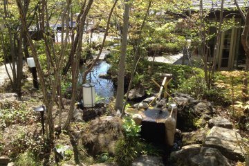 <p>The garden out front</p>