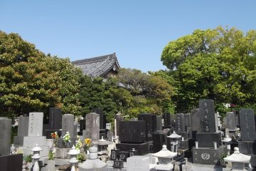 <p>The greenery creates a restful atmosphere</p>