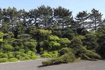 <p>The raked gravel zen garden</p>