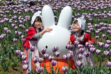 Traditional "Dutch Maid" costumes are available to all visitors, big or small, so you can play dress-up and take photographs with the beautiful tulips and inflatable bunnies in the field.