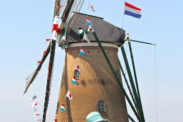 The Netherlands windmill and stunning red tulips.