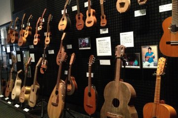 <p>Part of the extensive musical instrument collection</p>