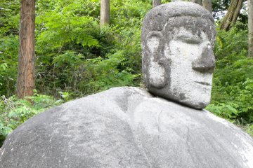 <p>It has an&nbsp;exotic appearance with a big nose</p>