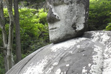 <p>Its&nbsp;head is simply sitting on its body and fell off once in 1991</p>