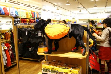 <p>Hiking gear for your dog? They've got it.&nbsp;</p>