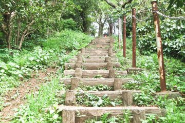 <p>Going up</p>