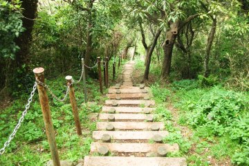 <p>Coming down. Some of the many stairs along the way</p>