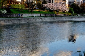 <p>The river at dusk</p>