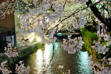 <p>Another section of the river at night</p>