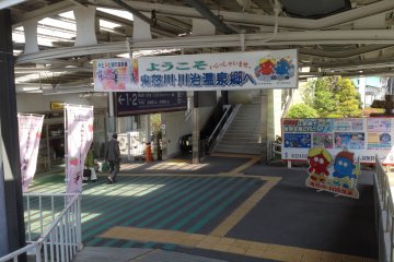 <p>The mascots in full form</p>