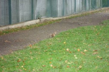 <p>A little visitor we met at the entrance</p>