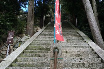 <p>5</p>