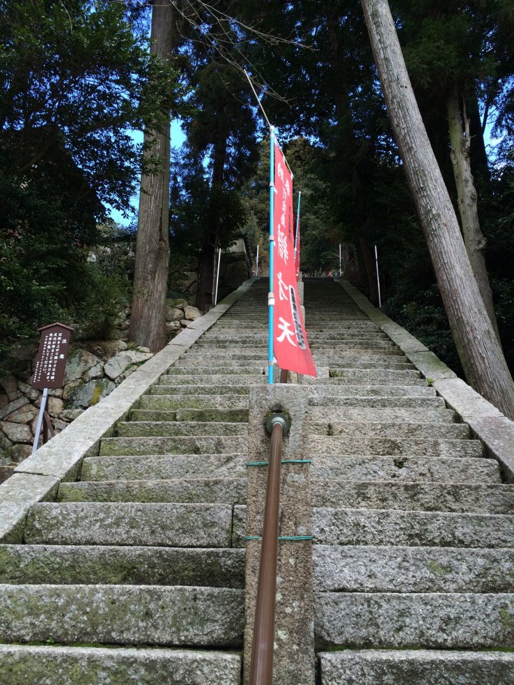 <p>5</p>