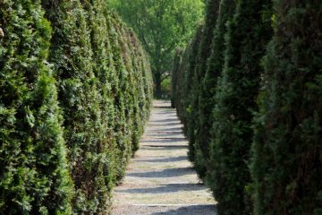 <p>You will be transported to another time and place as you wander through this beautifully kept garden.</p>