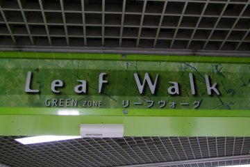 <p>Nature-themed hallways</p>