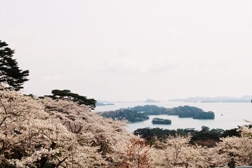 <p>A great view&nbsp;</p>