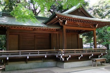 <p>Buildings nestled into the trees</p>