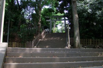 <p>Climbing the stairs to the top</p>