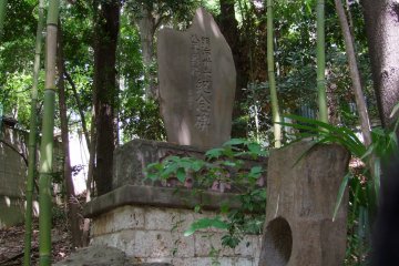 <p>Set amongst the bamboo</p>