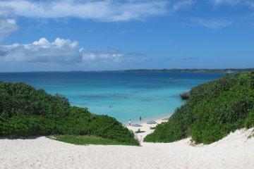 Summer in Sunny Miyakojima