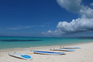 <p>Setting up for a paddleboard session.</p>