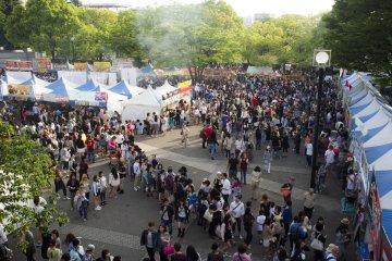 Massive crowd at the festival.