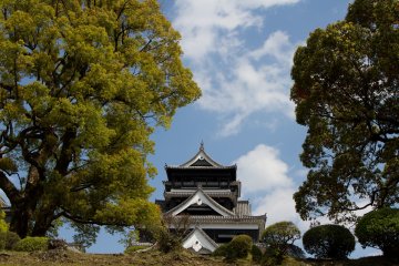 <p>Namun, tidak semua tentang bunga. Aku sangat menyukai pohon-pohon tua di sekitar benteng; mereka terlihat sama megahnya dengan benteng itu sendiri.</p>