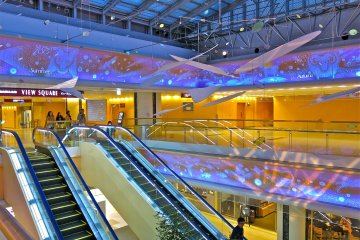 <p>When the lights dim, look up to watch the Silent Zoo light show near the main escalators.</p>
