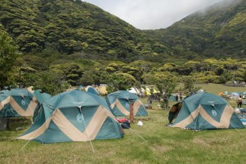 <p>The free campsite opposite Habushiura beach.&nbsp;</p>