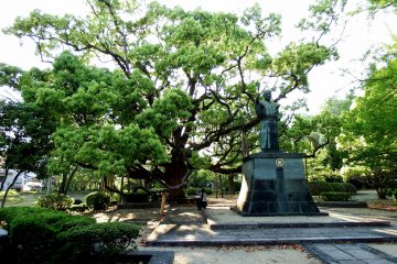 <p>Impressive big tree and statue of Hachisuka Iemasa, the first lord of Tokushima</p>