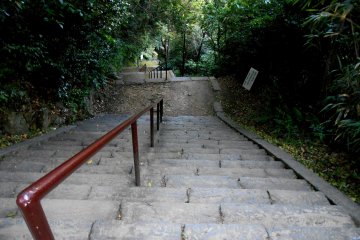 <p>This is one of three paths leading to the top of the hill. This one is the steepest</p>