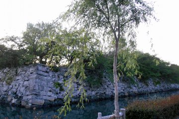 <p>Willow tree and the deep green moat</p>