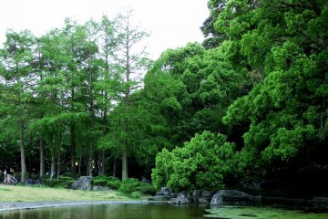<p>Benten Pond surrounded by lush greenery</p>