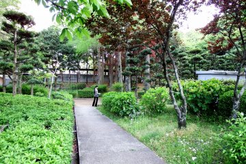 <p>Various kinds of trees are planted inside the park and walking paths wind through them</p>