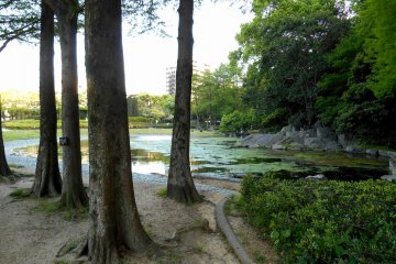 <p>Trees and serene Benten Pond. Throughout the year, students come here during art classes and draw pictures of nature</p>